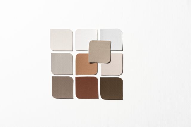 Color Of The Year 2021 Akzonobel